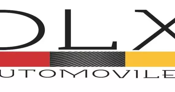 Logo DLX